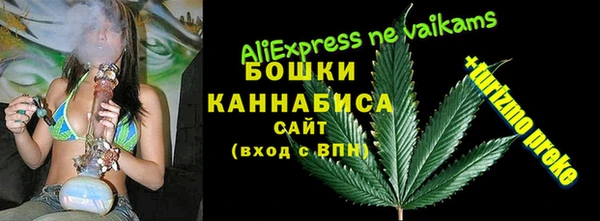 ПСИЛОЦИБИНОВЫЕ ГРИБЫ Аркадак